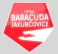 FK Baracuda Jakubčovice